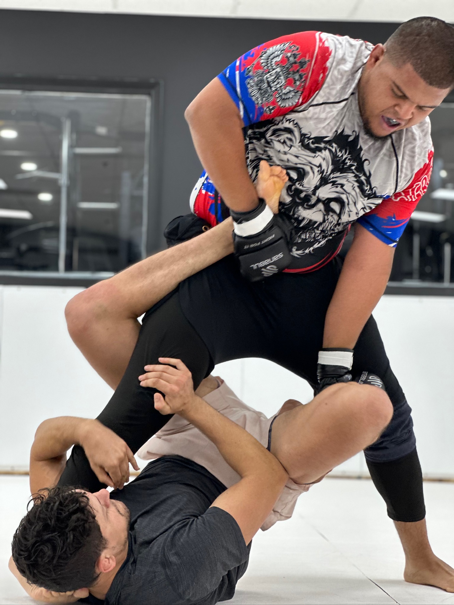 MMA training — ground-and-pound drill